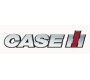 Case